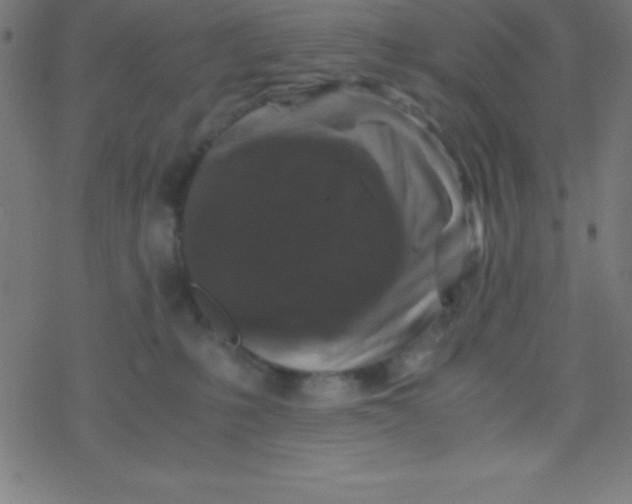 X0000077380231200611101737