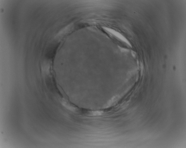 X0000077380233200611101737