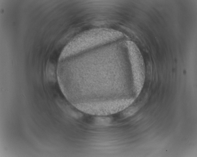 X0000077380234200611101737