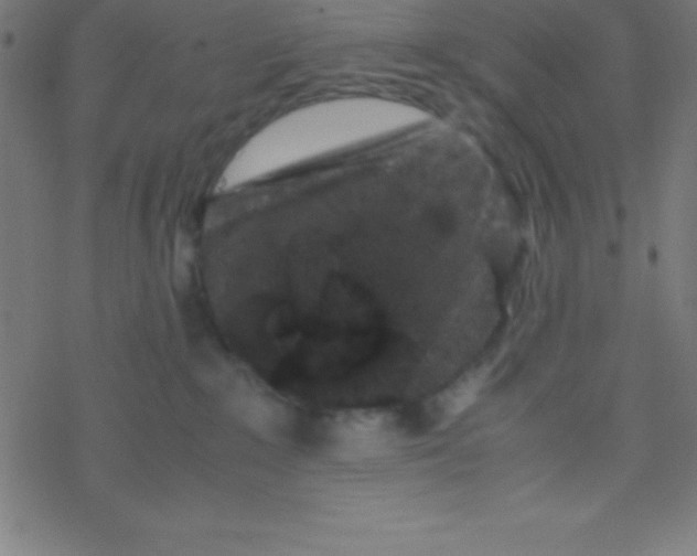 X0000077380235200611101737