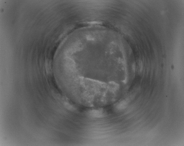 X0000077380236200611101737