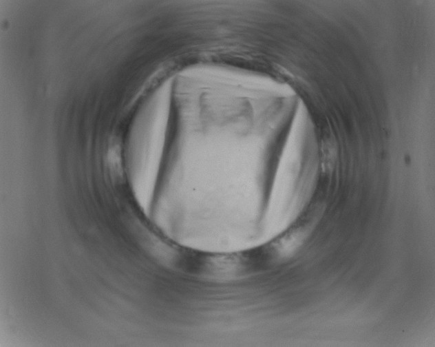 X0000077380238200611101737