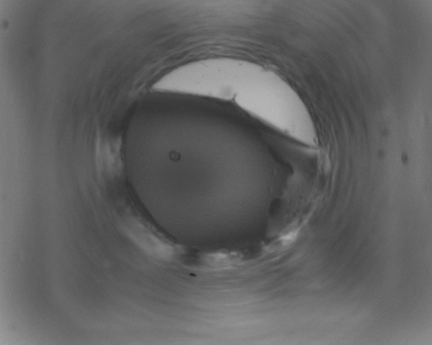 X0000077380239200611101737