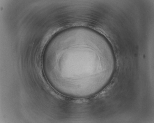 X0000077380241200611101736