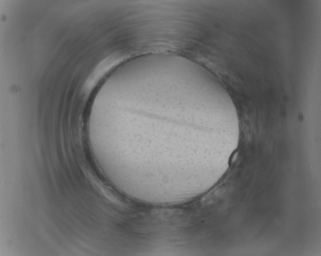 X0000077380242200611101736