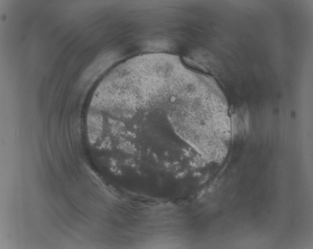 X0000077380243200611101736