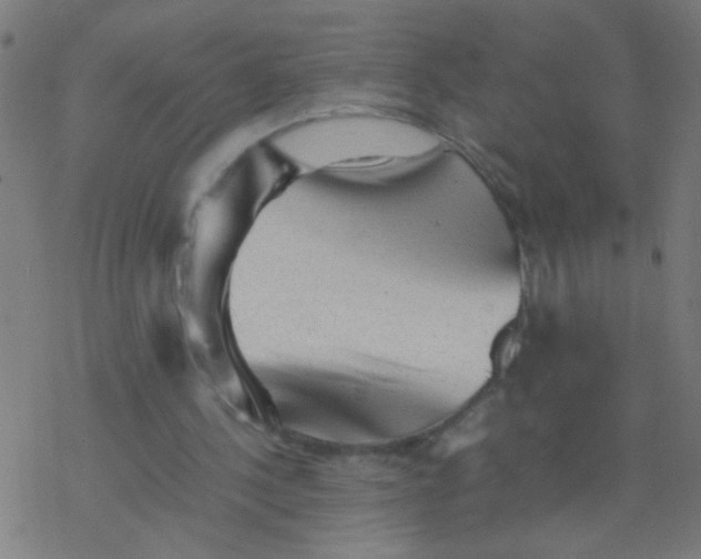 X0000077380244200611101736