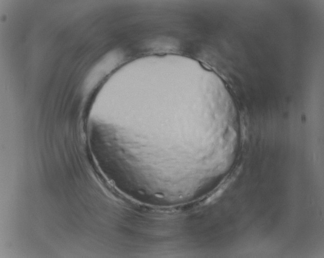 X0000077380245200611101736