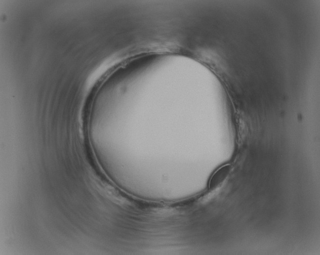 X0000077380246200611101736