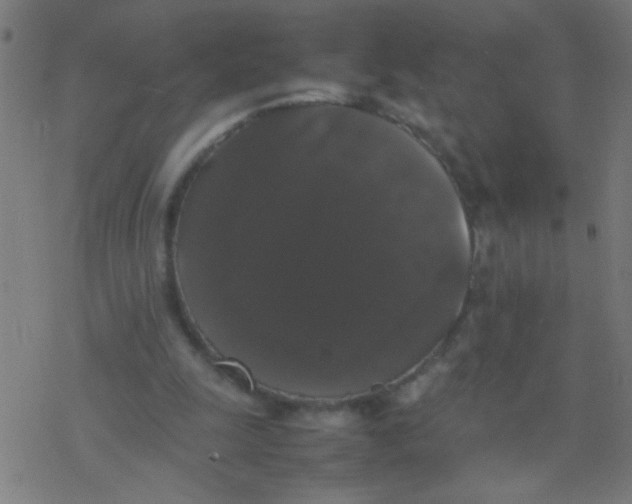 X0000077380247200611101736