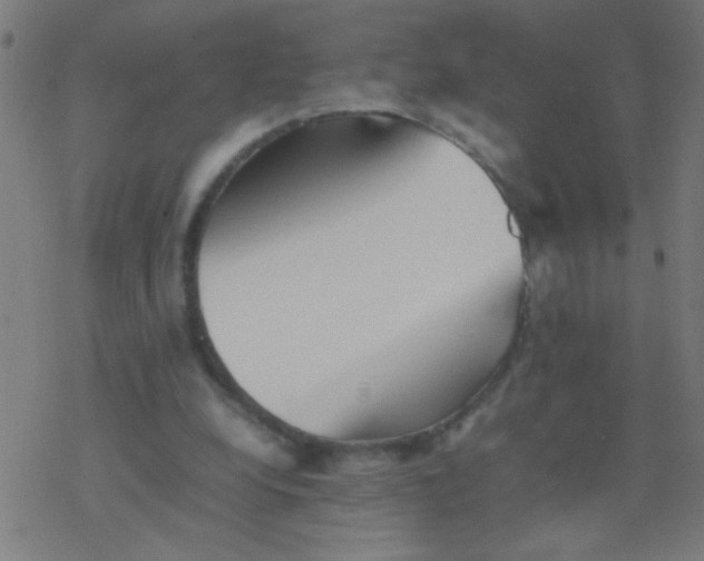 X0000077380248200611101736