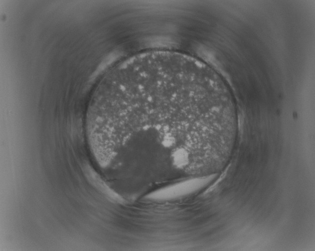 X0000077380249200611101736