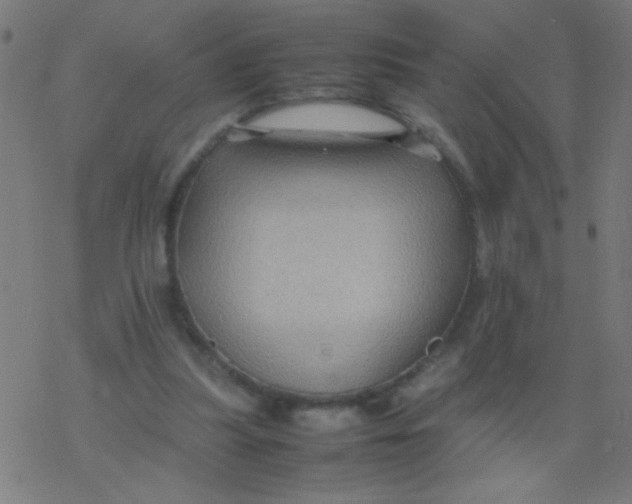 X0000077380251200611101736