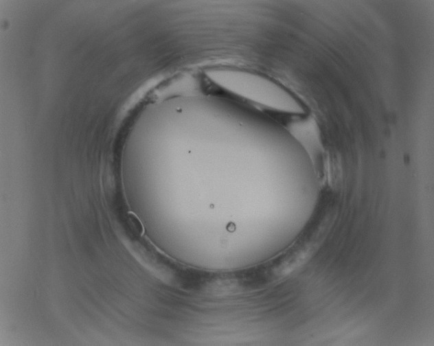 X0000077380252200611101736