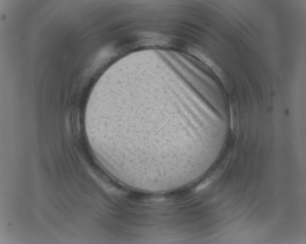 X0000077380253200611101736