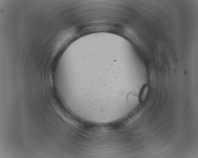 X0000077380254200611101736