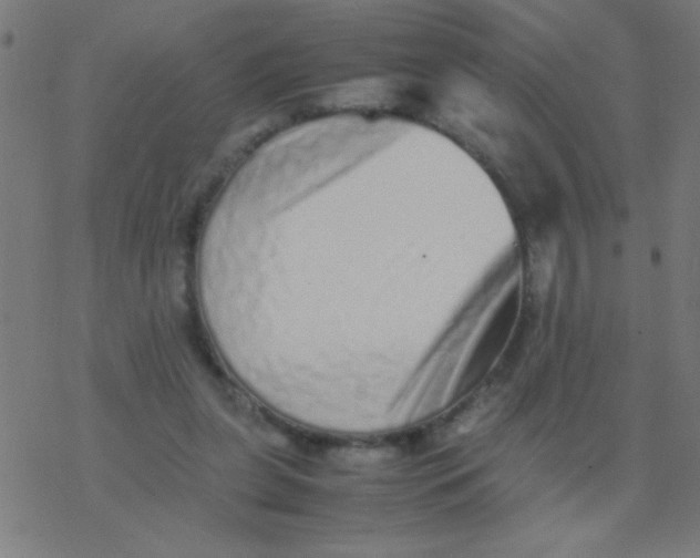 X0000077380255200611101736