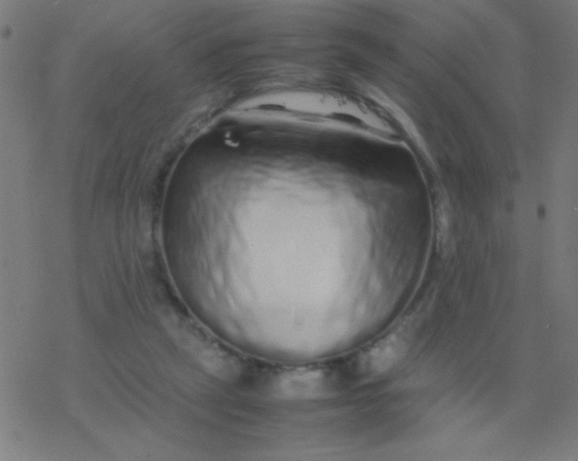 X0000077380257200611101736