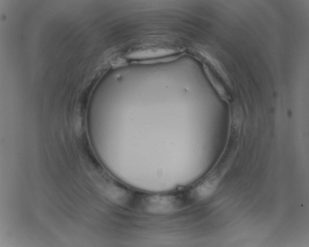 X0000077380261200611101737