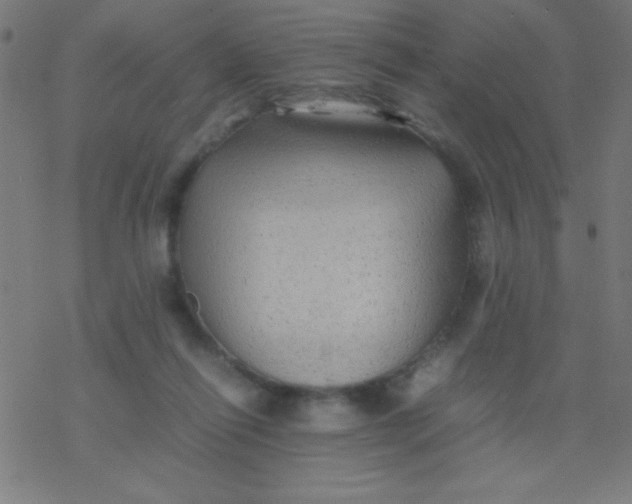 X0000077380262200611101737