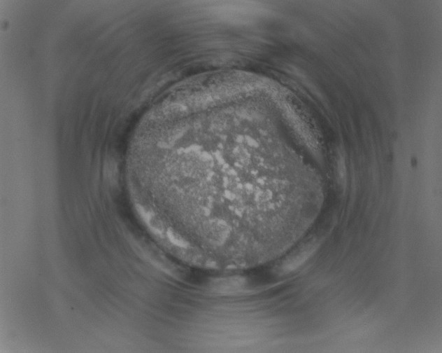 X0000077380266200611101737