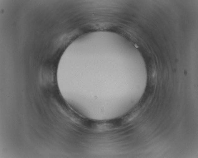 X0000077380268200611101737