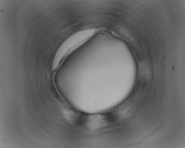 X0000077380269200611101737