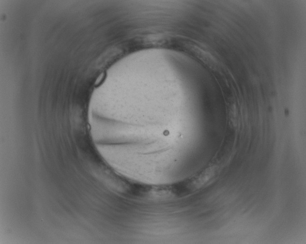 X0000077380270200611101737