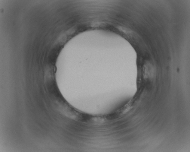 X0000077380272200611101737