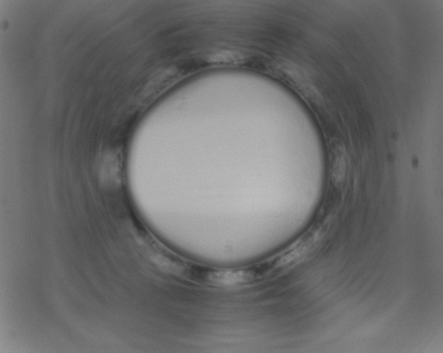 X0000077380273200611101737