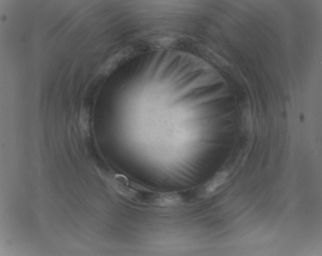 X0000077380274200611101737