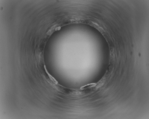 X0000077380276200611101737