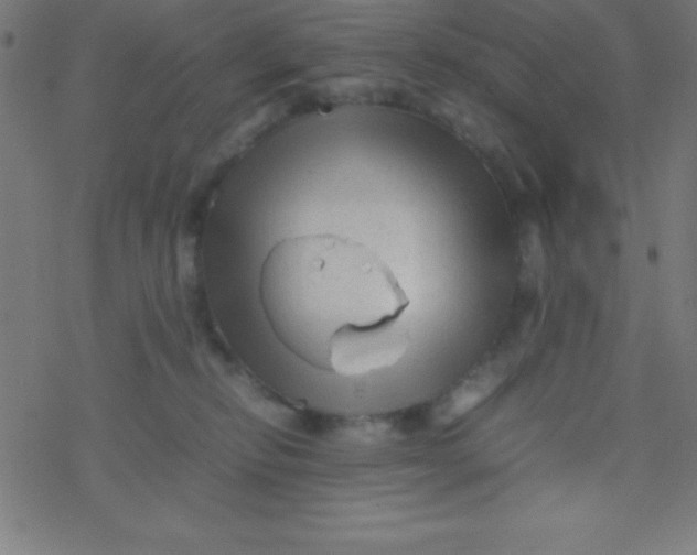 X0000077380278200611101737