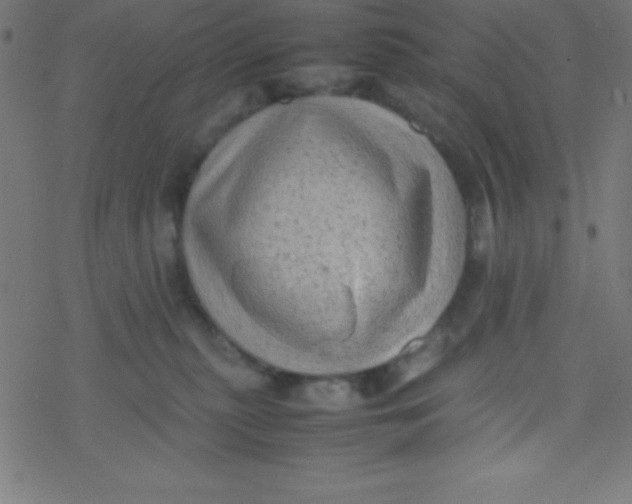 X0000077380279200611101737