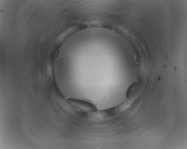 X0000077380282200611101737