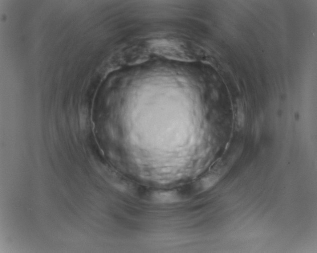 X0000077380283200611101737