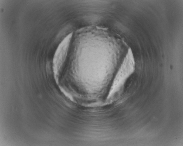 X0000077380286200611101737