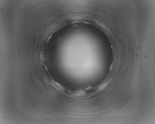 X0000077380288200611101737