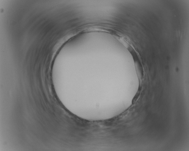 X0000077380289200611101736