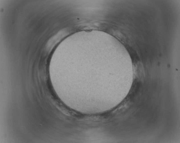 X0000077380291200611101736