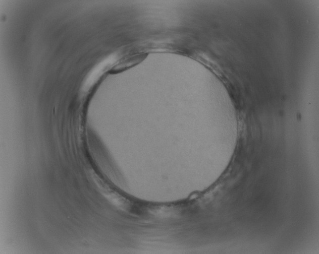 X0000077380293200611101736