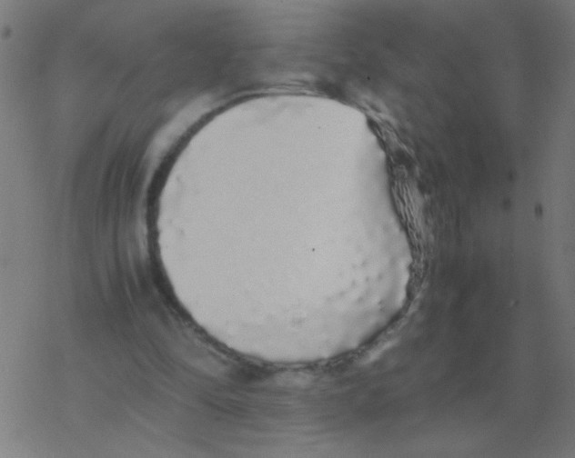 X0000077380294200611101736