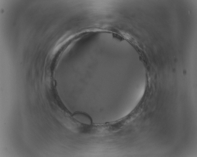 X0000077380295200611101736