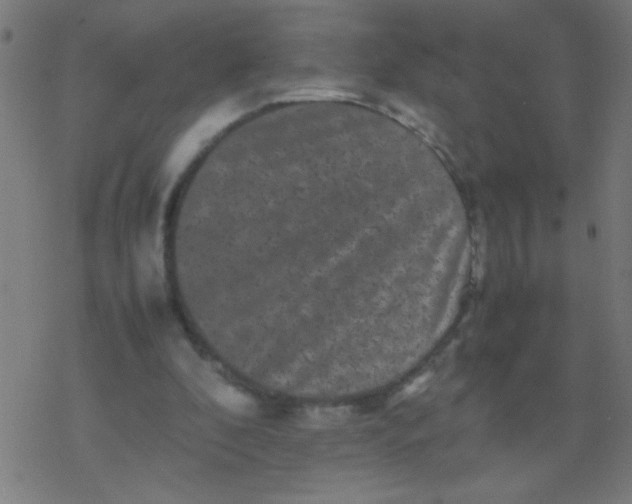 X0000077380296200611101736