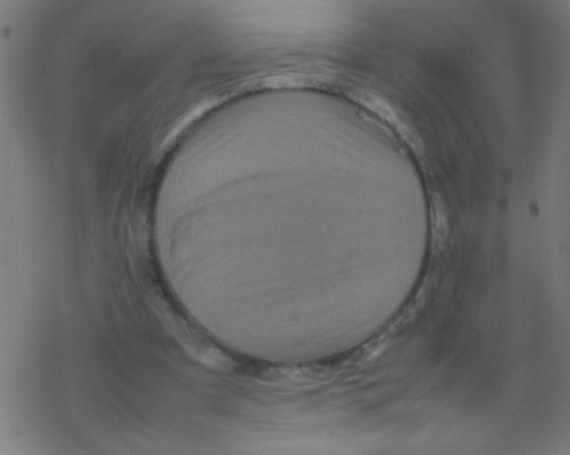 X0000077380297200611101736