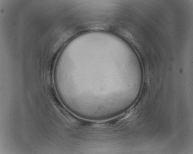 X0000077380299200611101736