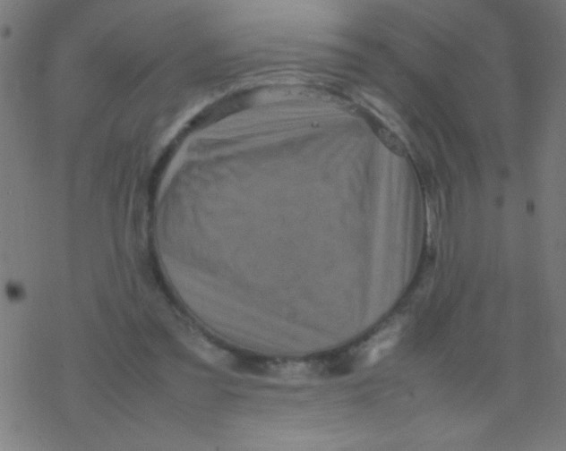 X0000077380301200611101736