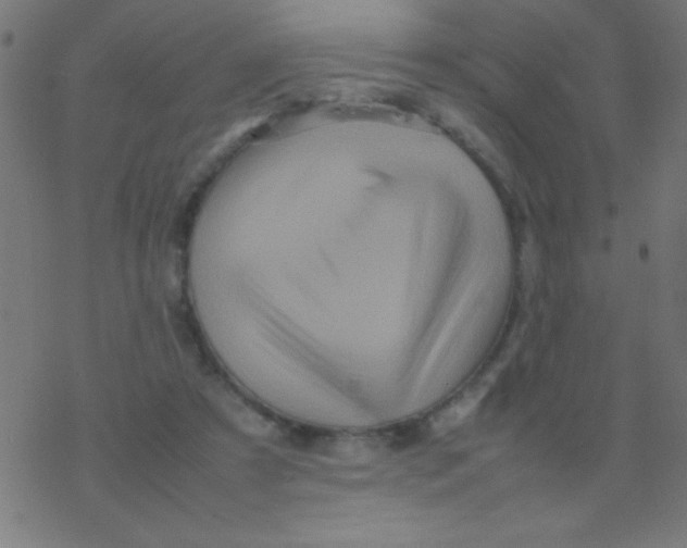 X0000077380305200611101736