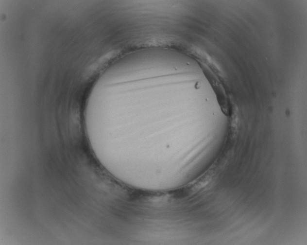 X0000077380306200611101736