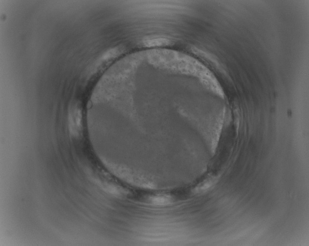 X0000077380308200611101736